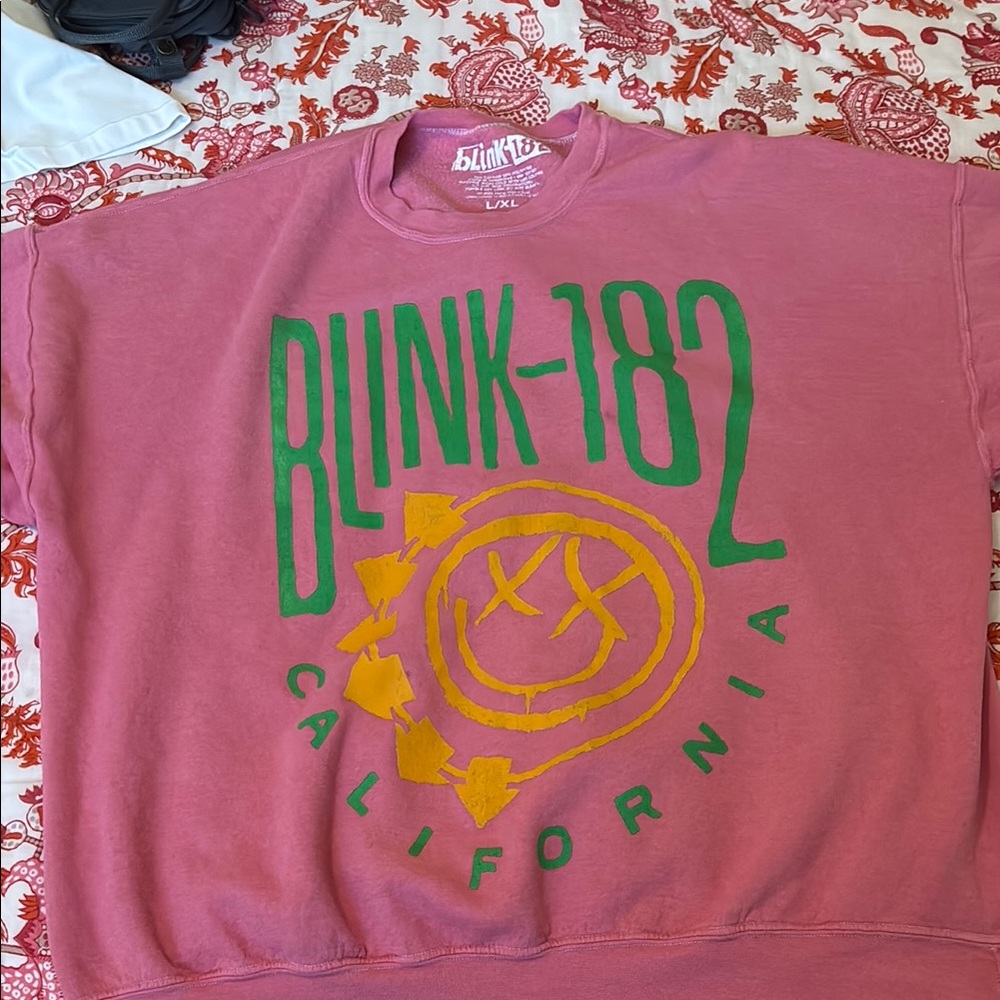 Urban Outfitters Pink Blink-182 Sweatshirt